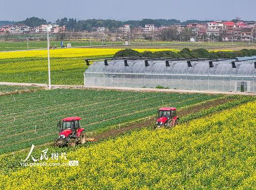 1024国产基地在线,探索中国科技产业的创新与发展