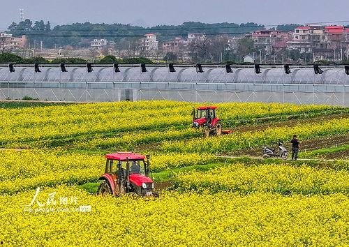 1024国产基地在线,探索中国科技产业的创新与发展