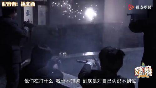 国产搞基视频,揭秘网络亚文化现象