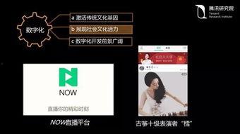 国产55页,揭秘我国科技发展的新篇章